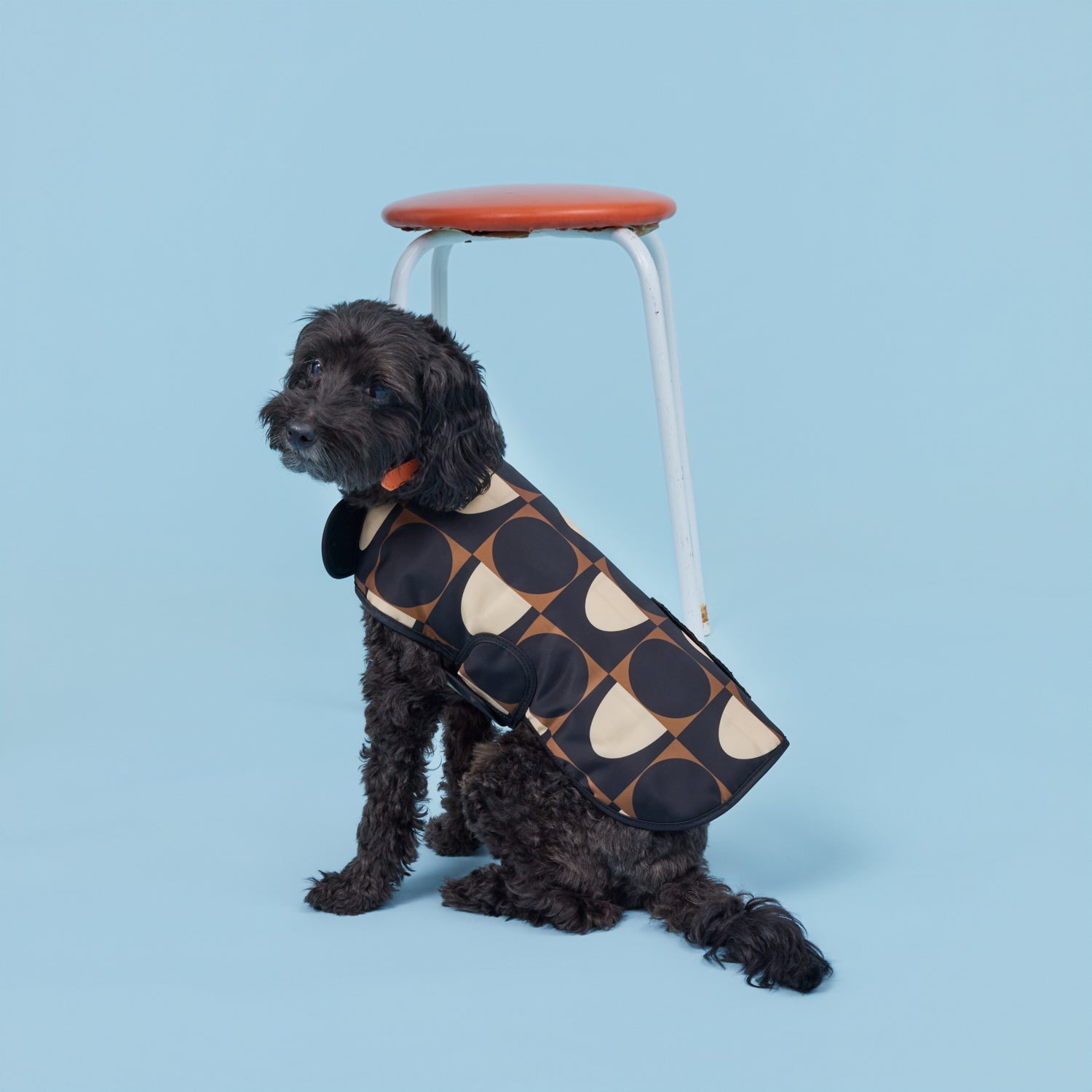 Dog Coat - Spot Square Mocha