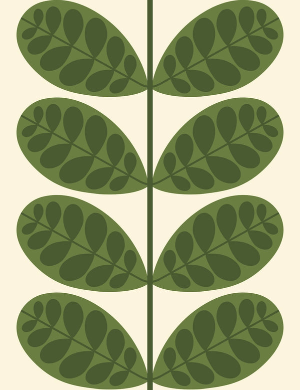 Botanica Wallpaper in Green Artwork by Orla Kiely