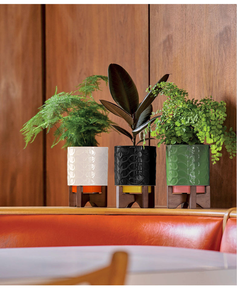 Debossed Plant Pot on Wooden Stand - Cream